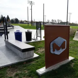 Ferndale Skate Park - Ferndale