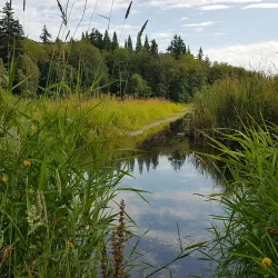 Lake Terrell Park - Ferndale