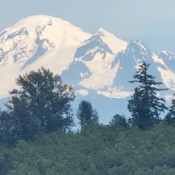 Lake Terrell Park - Ferndale