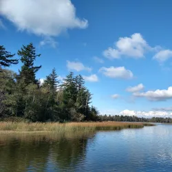 Lake Terrell Park - Ferndale