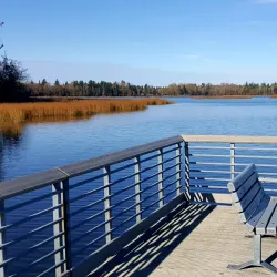 Lake Terrell Park - Ferndale