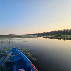 Lake Terrell Park - Ferndale