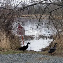 Lake Terrell Park - Ferndale