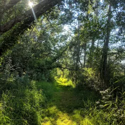Lake Terrell Park - Ferndale