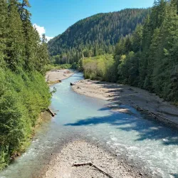 Nooksack River - Ferndale