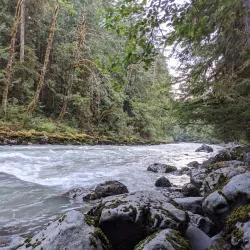 Nooksack River - Ferndale