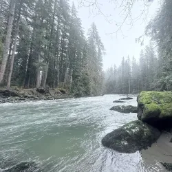 Nooksack River - Ferndale