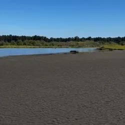 Nooksack River - Ferndale