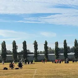 Pioneer Park - Ferndale