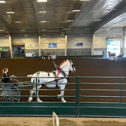 Whatcom County Fairgrounds - Ferndale