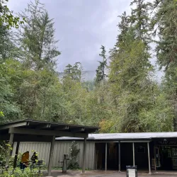 Hoh Rain Forest - Forks