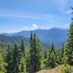 Olympic National Park - Forks