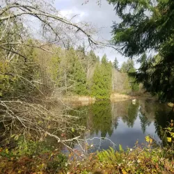 Crescent Creek Park - Gig Harbor