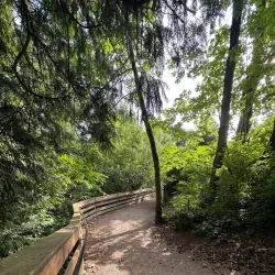 Donkey Creek Trail - Gig Harbor