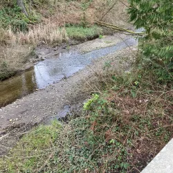 Donkey Creek Trail - Gig Harbor