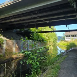 Donkey Creek Trail - Gig Harbor