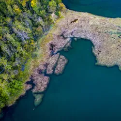 Peninsula Park - Gig Harbor
