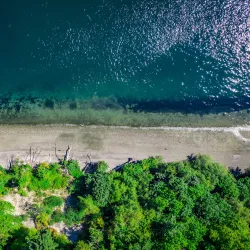 Peninsula Park - Gig Harbor