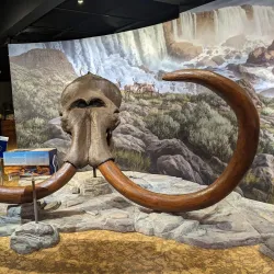 Yakima Valley Museum - Grandview