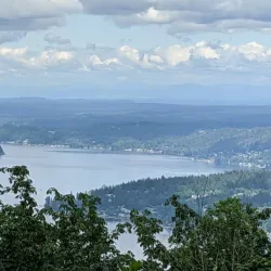 Cougar Mountain Regional Wildland Park - Issaquah