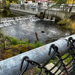 Issaquah Salmon Hatchery - Issaquah