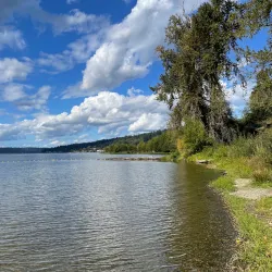 Lake Sammamish State Park - Issaquah