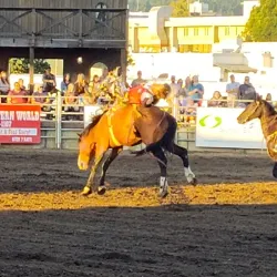 Cowlitz County Fairgrounds - Kelso