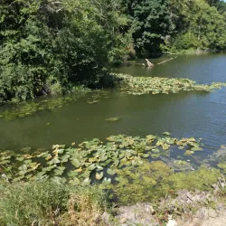 Cowlitz River - Kelso