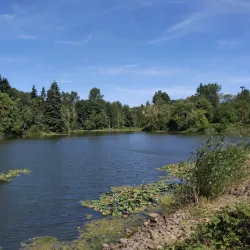 Cowlitz River - Kelso