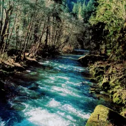 Cowlitz River - Kelso