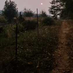 Cowlitz River - Kelso