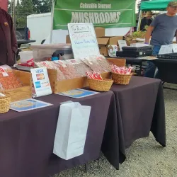 Kelso Farmers Market - Kelso