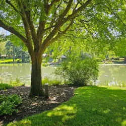Lake Sacajawea Park - Kelso