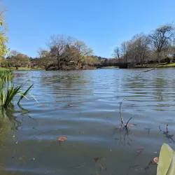 Lake Sacajawea Park - Kelso