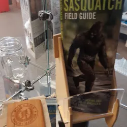 Mount St. Helens Visitor Center (nearby) - Kelso