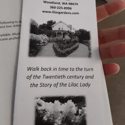 Mount St. Helens Visitor Center (nearby) - Kelso