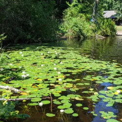 Beaver Lake Park - Kenmore