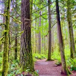 Beaver Lake Park - Kenmore