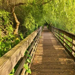 Juanita Bay Park - Kenmore