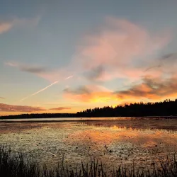 Juanita Bay Park - Kenmore