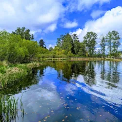 Juanita Bay Park - Kenmore