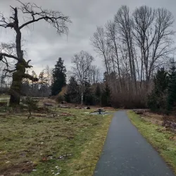 Juanita Bay Park - Kenmore