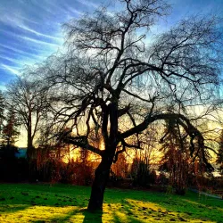 Juanita Bay Park - Kenmore