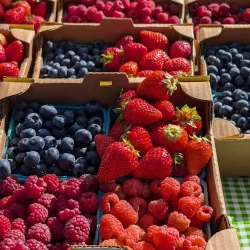 Kenmore Farmers Market - Kenmore