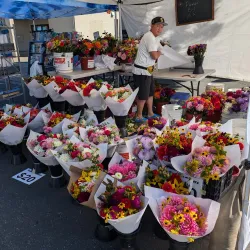 Kenmore Farmers Market - Kenmore