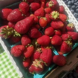 Kenmore Farmers Market - Kenmore
