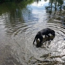 Kenmore Village Park - Kenmore