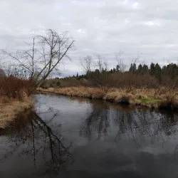 Kenmore Village Park - Kenmore