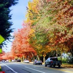 Lake Washington - Kenmore