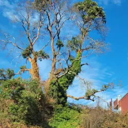 Lake Washington - Kenmore